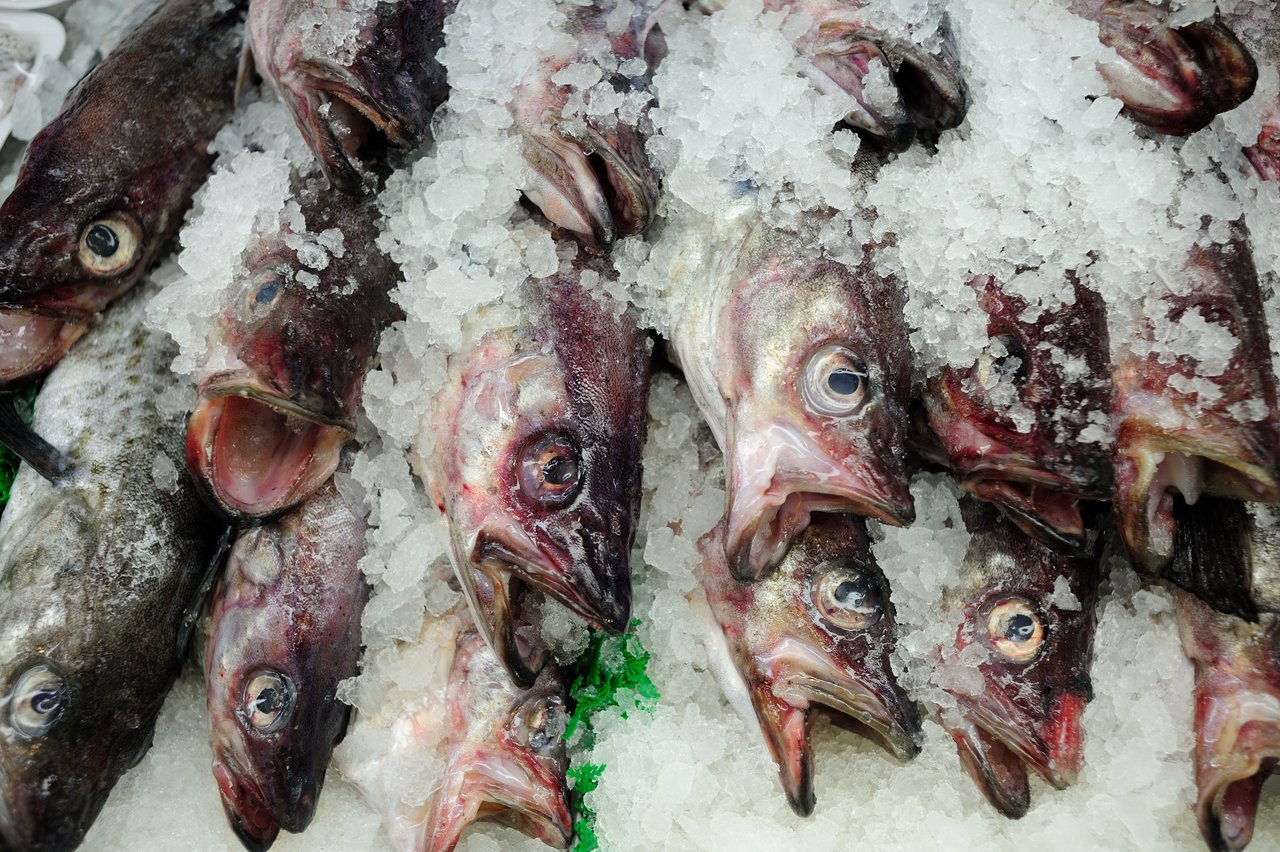nolisoli fixture health microplastics salt seafood