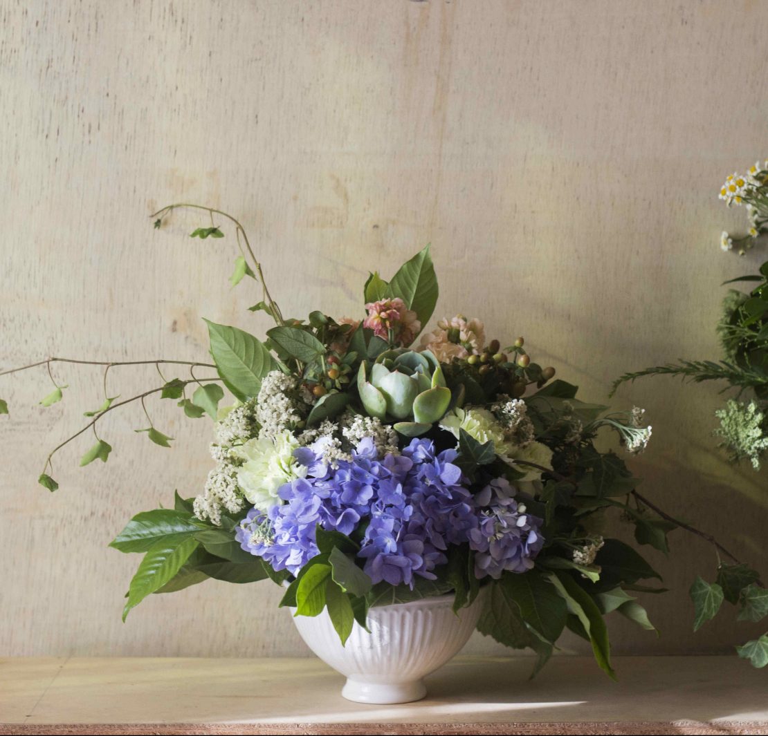 How florists keep flowers fresh longer NOLISOLI