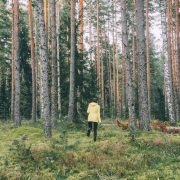 nolisoli care health and wellness forest bathing