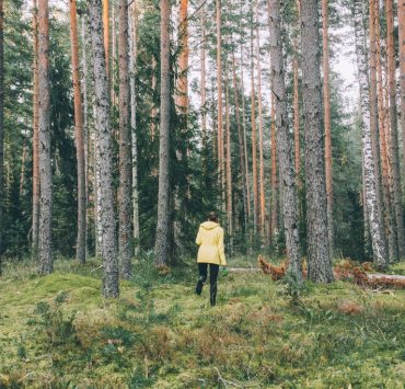 nolisoli care health and wellness forest bathing