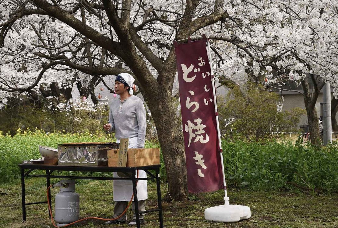 nolisoli eigasai japanese film festival cinema