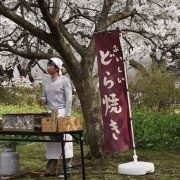 nolisoli eigasai japanese film festival cinema