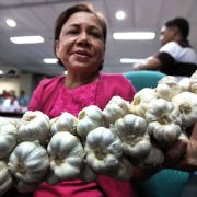 nolisoli be fixture cynthia villar garlic cartel