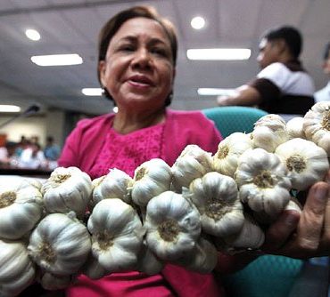 nolisoli be fixture cynthia villar garlic cartel