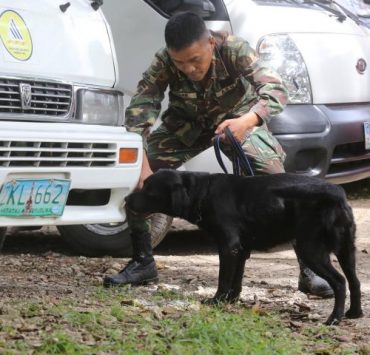 nolisoli be fixture askal over imported dogs for k-9