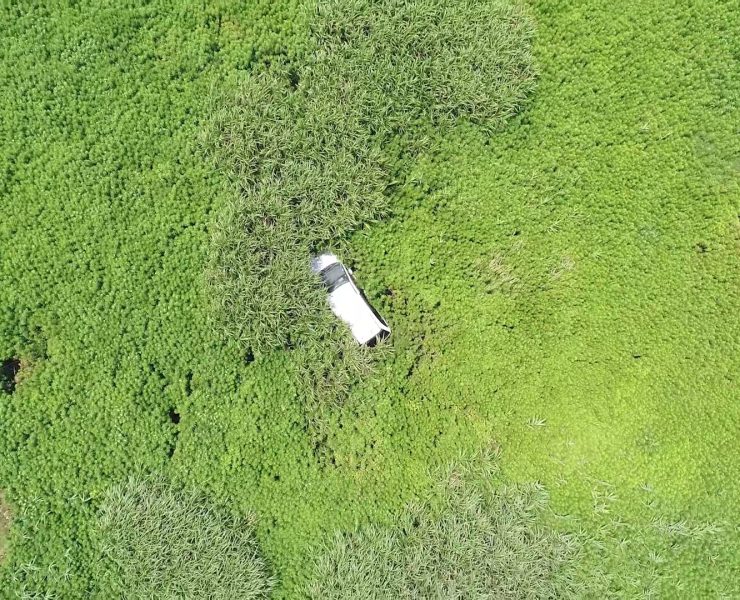 nolisoli fixture news fukushima