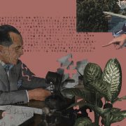 nolisoli fixture language tagalog