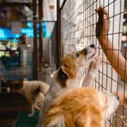 nolisoli be fixture MBY