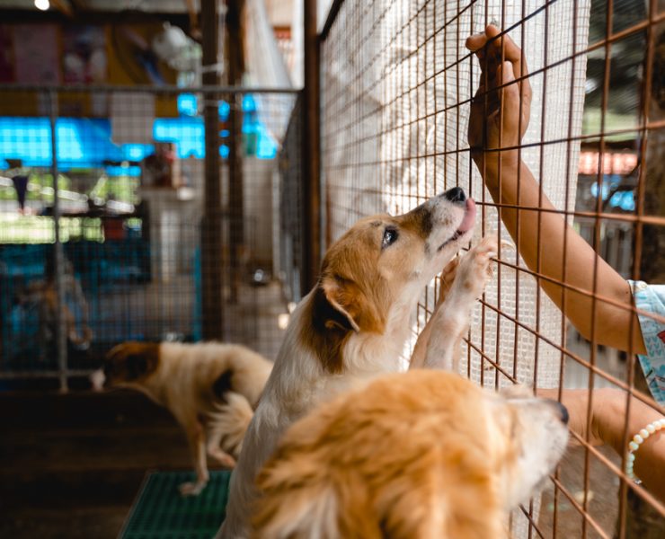 nolisoli be fixture MBY