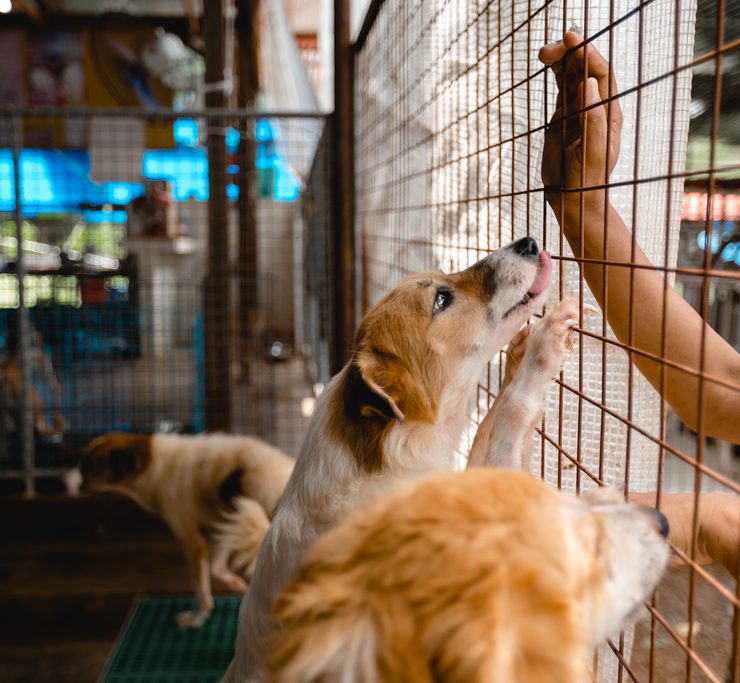 nolisoli be fixture MBY