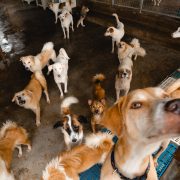 nolisoli be fixture MBY