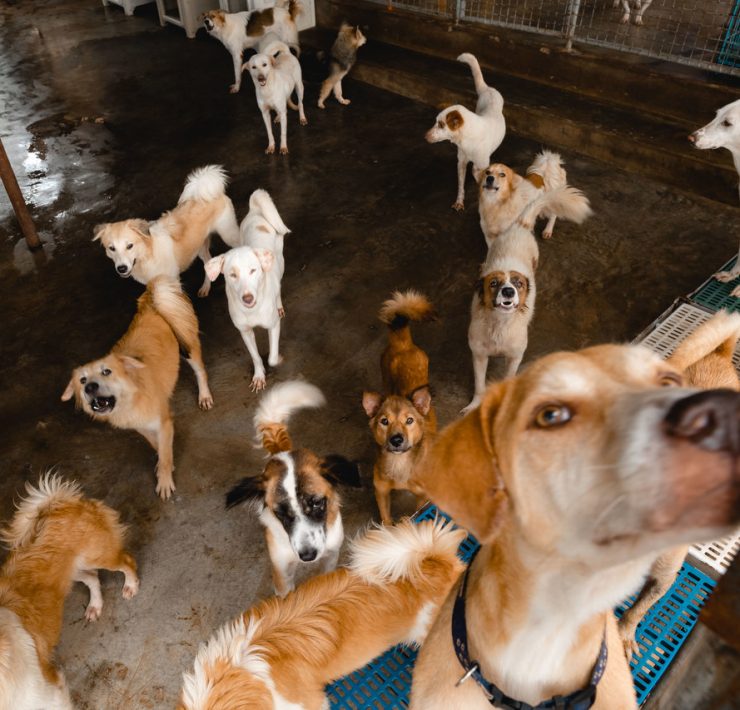 nolisoli be fixture MBY