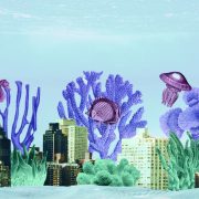 nolisoli be fixture fish sea environment