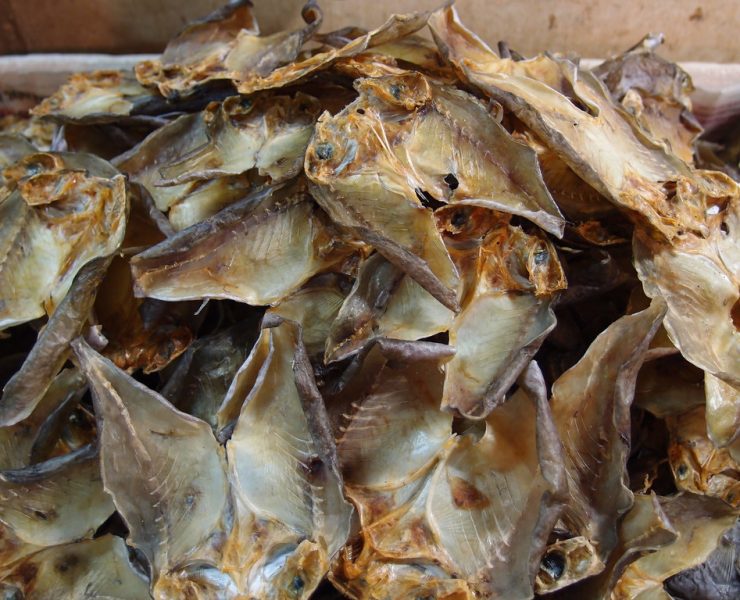 nolisoli healthy snacks danggit