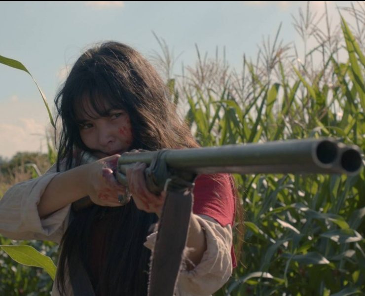 nolisoli arts birdshot 2