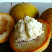 nolisoli santol eats food trends cottonfruit