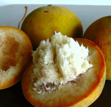 nolisoli santol eats food trends cottonfruit