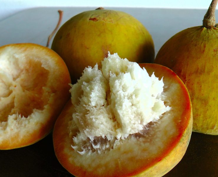 nolisoli santol eats food trends cottonfruit