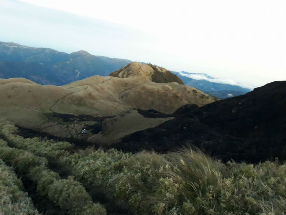 nolisoli fire forest pulag mountain wildfires