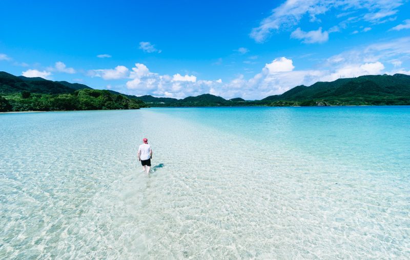 nippon summer islands