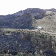 nolisoli fire forest pulag mountain wildfires