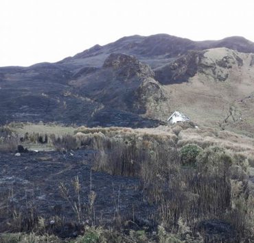 nolisoli fire forest pulag mountain wildfires