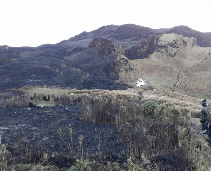 nolisoli fire forest pulag mountain wildfires