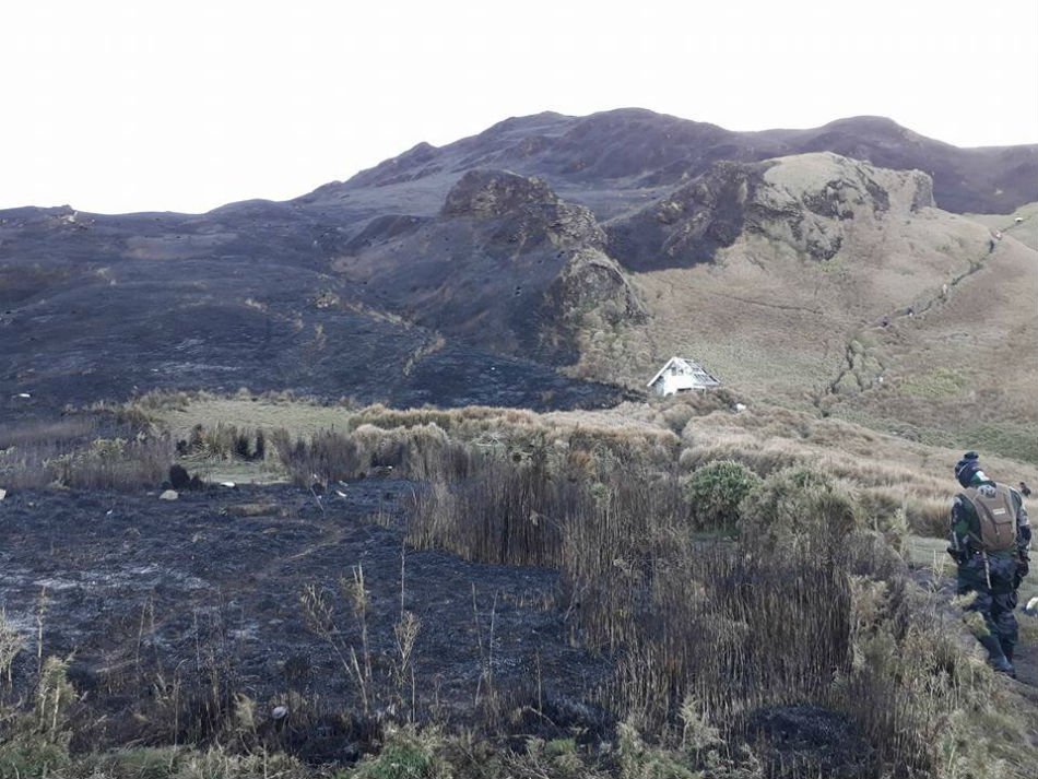 nolisoli fire forest pulag mountain wildfires