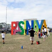 nolisoli pasinaya ccp arts