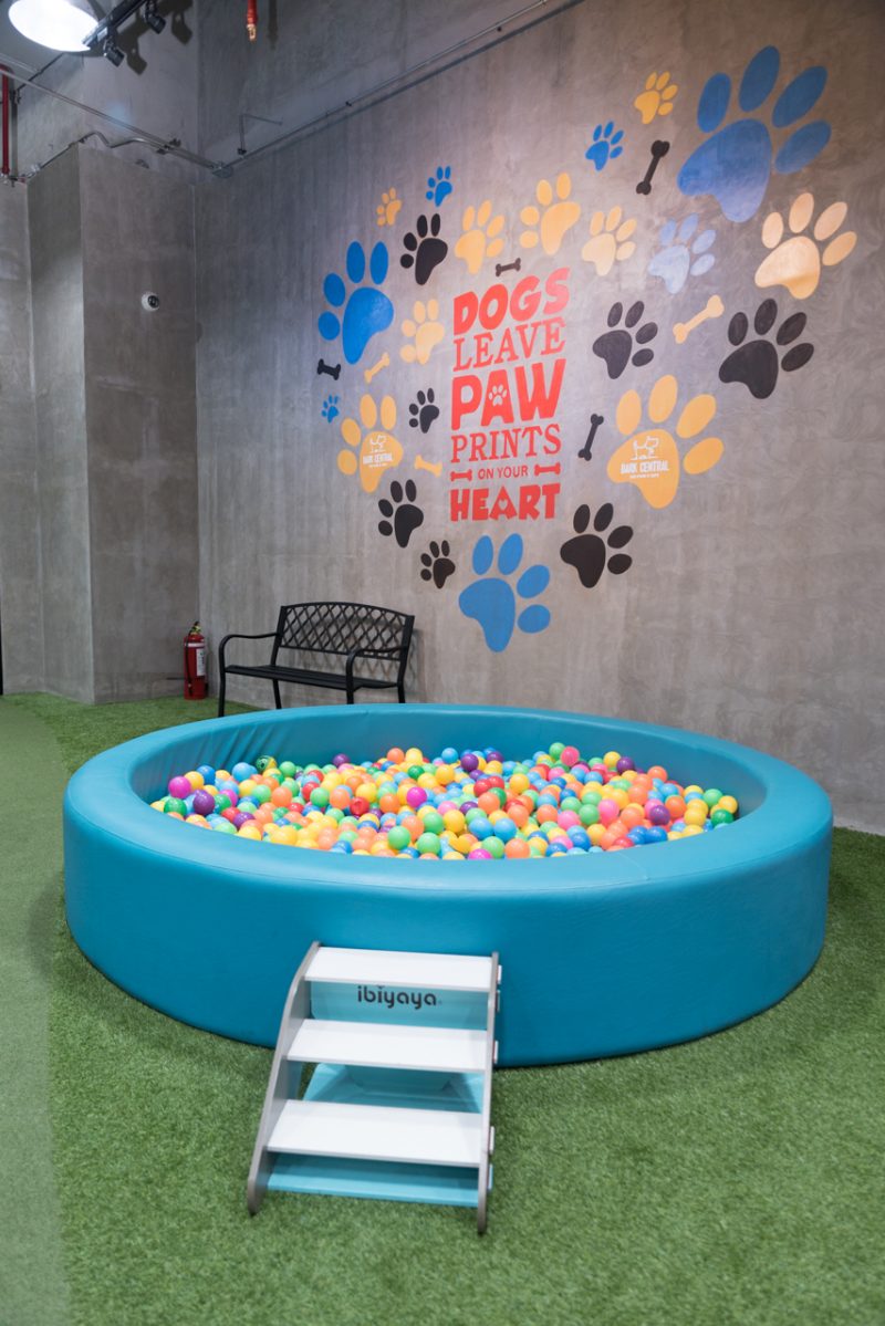 This indoor dog park is the perfect date for you and your dog - NOLISOLI