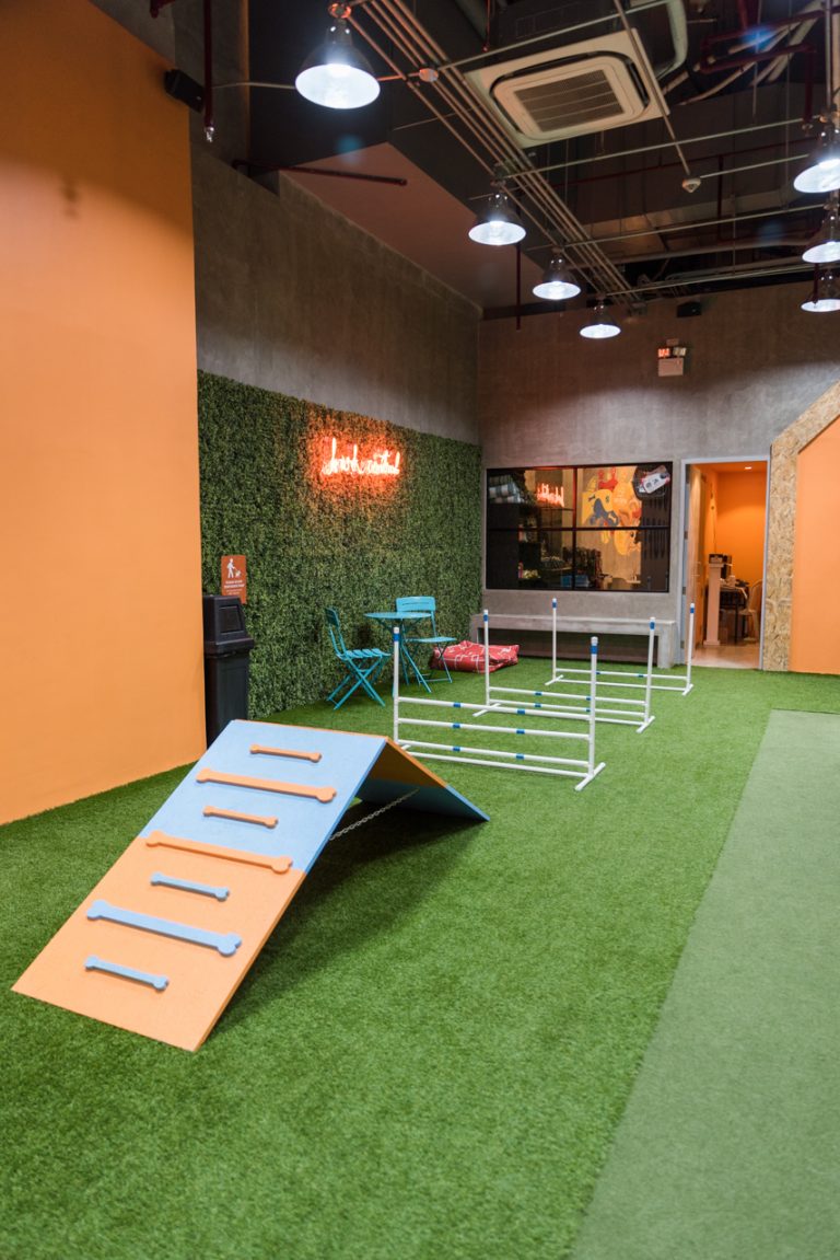 This indoor dog park is the perfect date for you and your dog - NOLISOLI