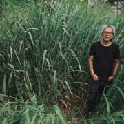nolisoli lav diaz