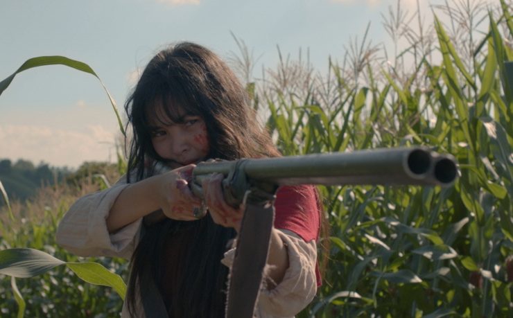 nolisoli arts birdshot