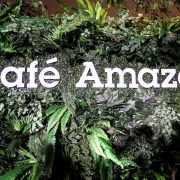 nolisoli eats restaurant cafe amazon