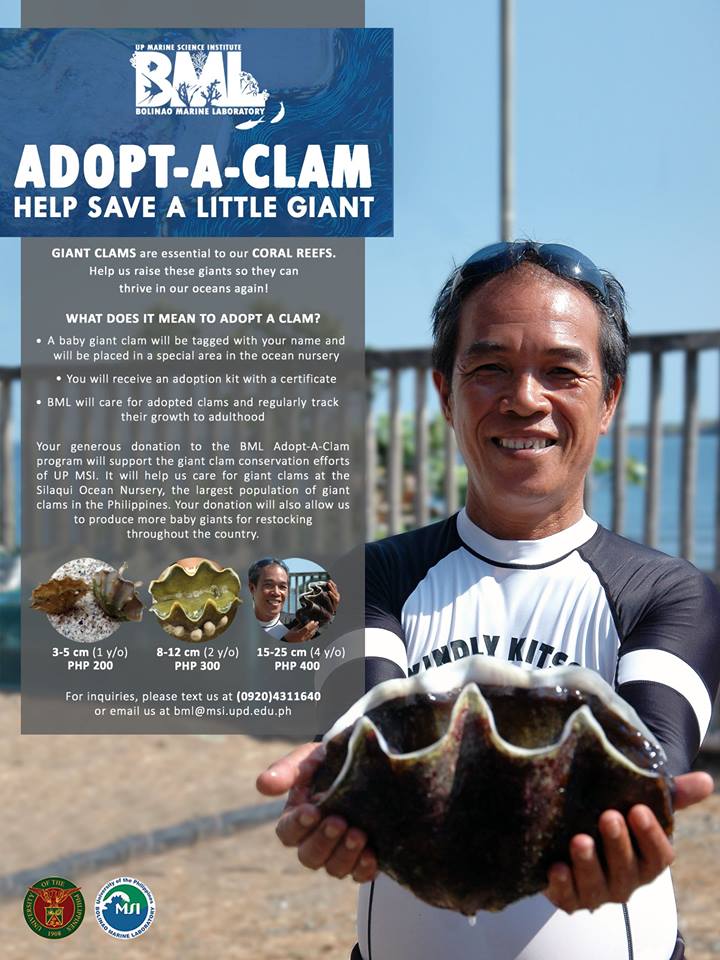 nolisoli marine institute adopt clams