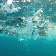 nolisoli great pacific garbage patch trash