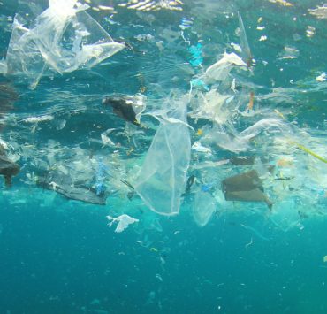nolisoli great pacific garbage patch trash