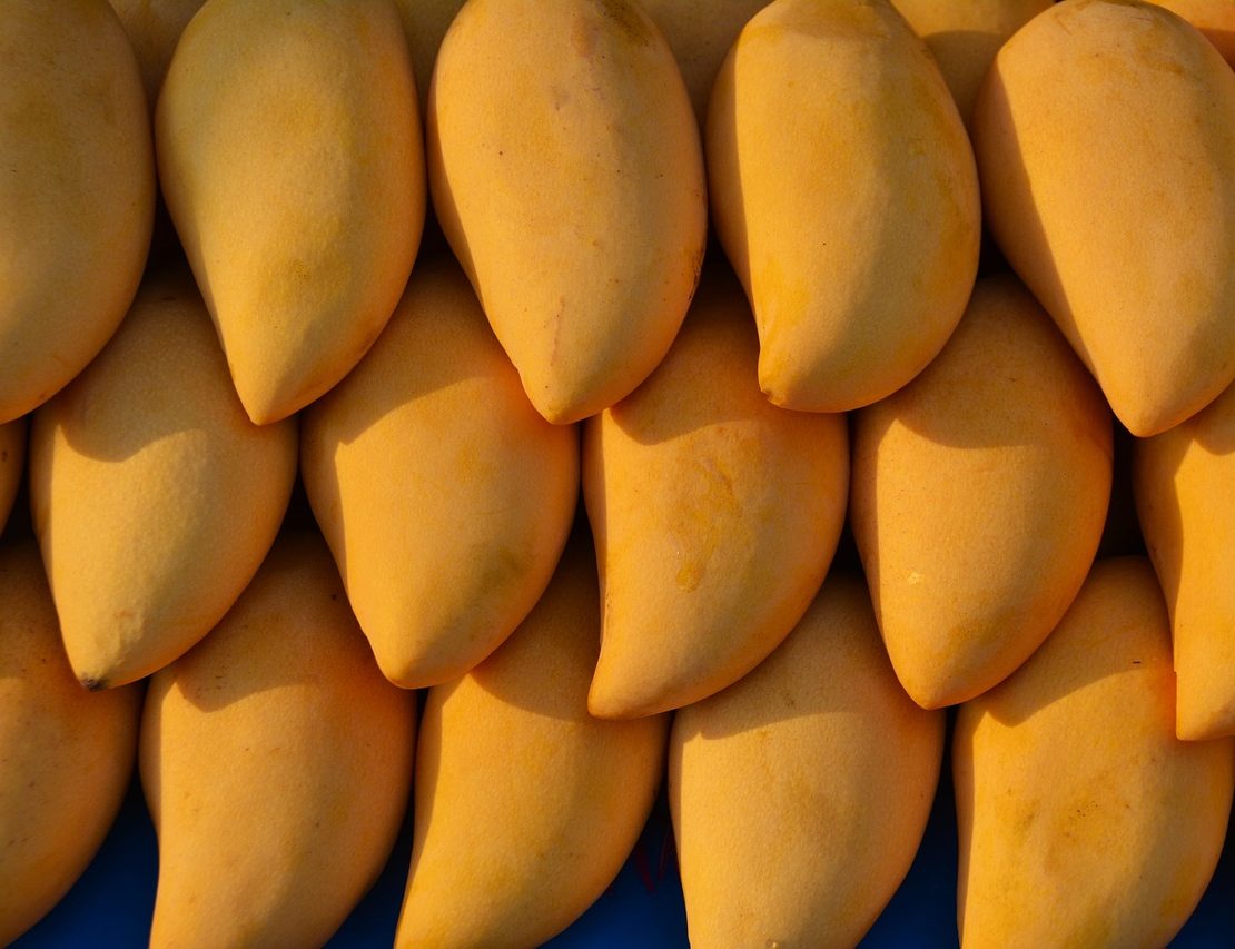 philippine mango fruit