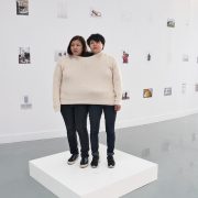 nolisoli art erwin wurm ayala museum exhibit