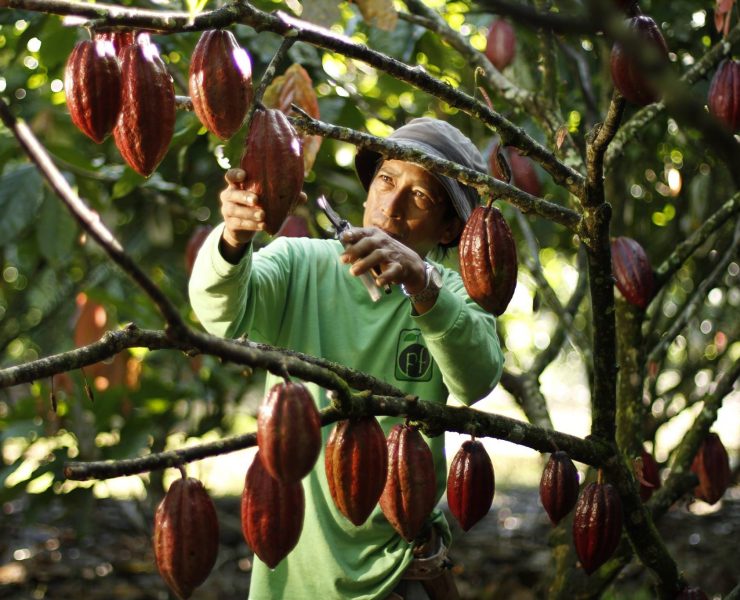 Malagos Chocolate Facebook