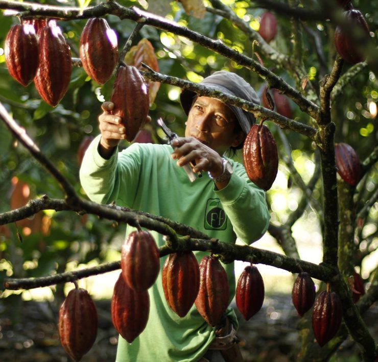 Malagos Chocolate Facebook