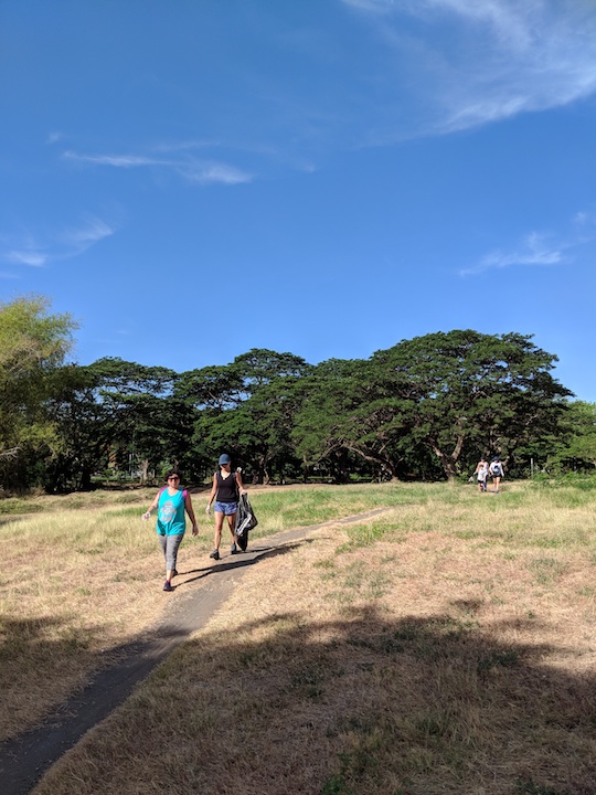 nolisoli trash sweep hike