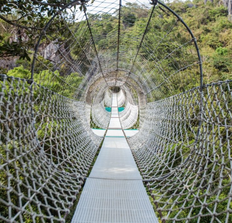 nolisoli masungi georeserve ann dumaliang profile