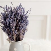 nolisoli sponsored pine-sol