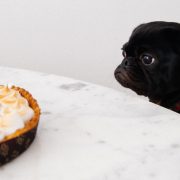 nolisoli nolisoli.ph fixture productivity procrastination procrastibaking baking pomodoro technique