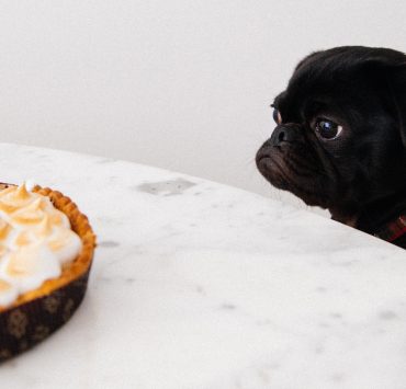 nolisoli nolisoli.ph fixture productivity procrastination procrastibaking baking pomodoro technique