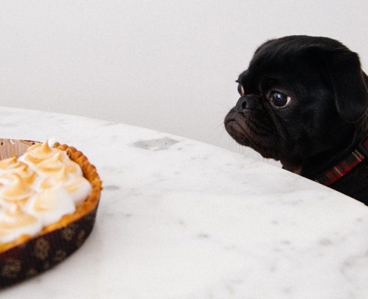 nolisoli nolisoli.ph fixture productivity procrastination procrastibaking baking pomodoro technique