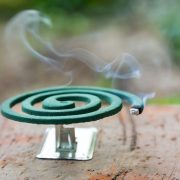 nolisoli bn breaking news katol mosquito repellent dengue harmful chemicals health hazard FDA