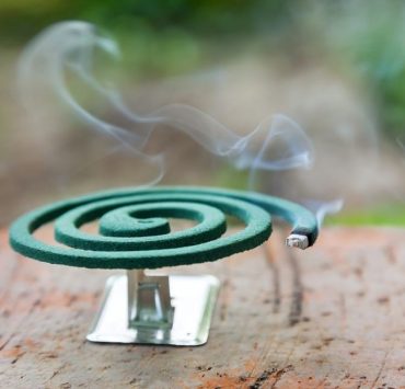 nolisoli bn breaking news katol mosquito repellent dengue harmful chemicals health hazard FDA