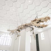 nolisoli arts city guide national museum natural history manila